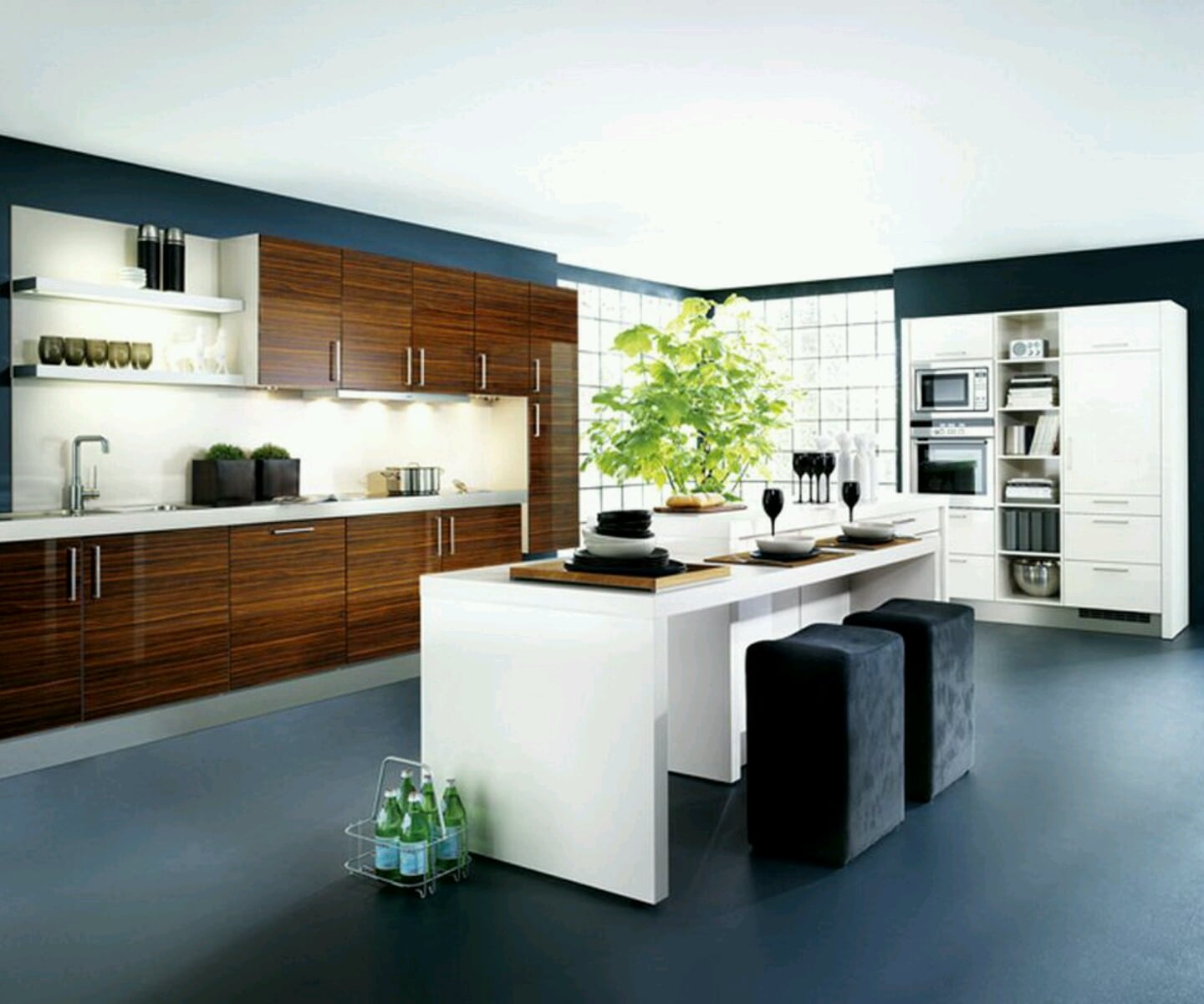 cuisine professionnelle